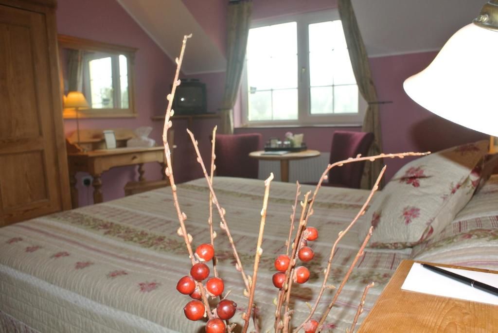 Загородные дома Drumcreehy Country House B&B Балливон