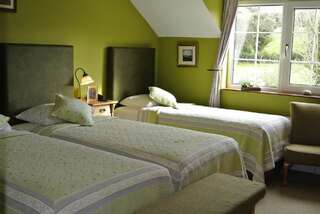 Загородные дома Drumcreehy Country House B&B Балливон Двухместный номер с 1 кроватью или 2 отдельными кроватями-10