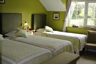 Загородные дома Drumcreehy Country House B&B Балливон Двухместный номер с 1 кроватью или 2 отдельными кроватями-20
